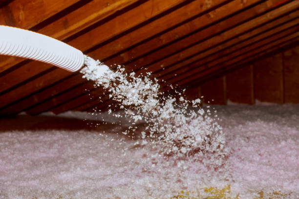 Best Insulation Materials and Products in Horizon City, TX