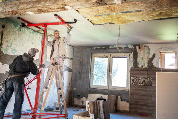 Best Commercial Insulation in Horizon City, TX