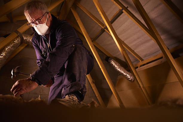 Horizon City, TX Insulation Contractor Pros