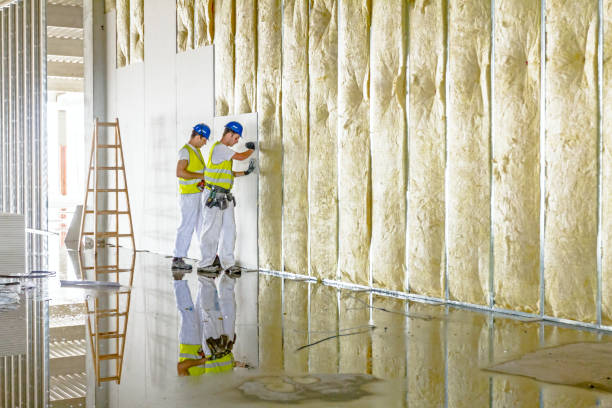 Best Residential Insulation in Horizon City, TX